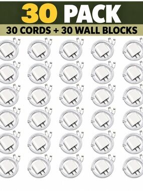 30-Pack White Lightning to USB-C Charging Cables with Wall Chargers — Bulk Pack
